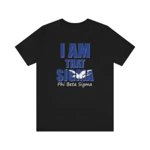 Phi Beta Sigma Tagline District Unisex Shirt