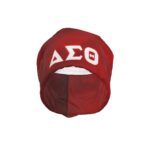 Delta Sigma Theta Beanie Hat