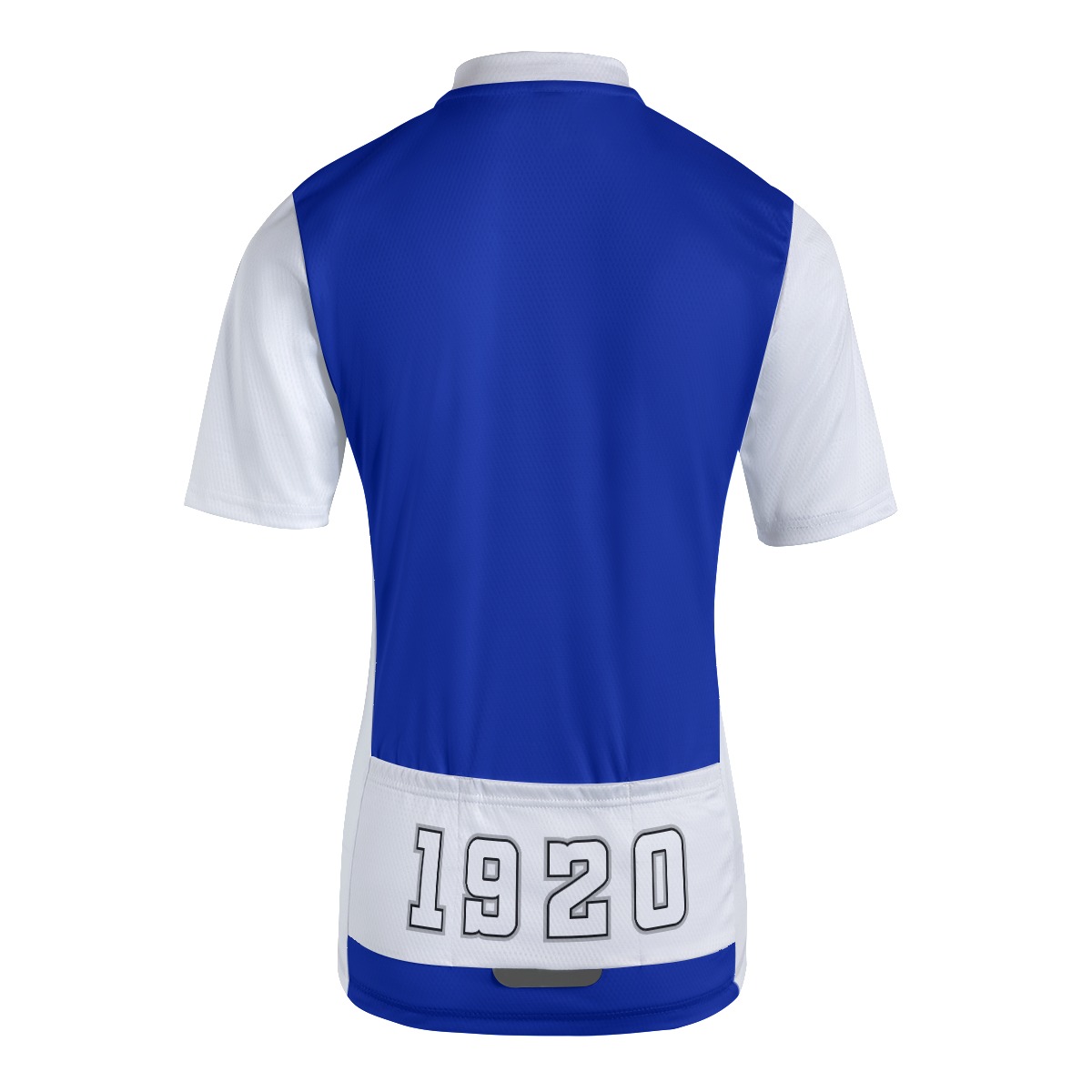 Zeta Phi Beta Cycling Jersey - Image 2