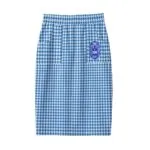 Zeta Phi Beta Package Hip Skirt