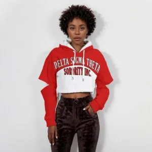 Delta Sigma Theta Heavy Fleece Hoodie With Hollow Out Sleeve