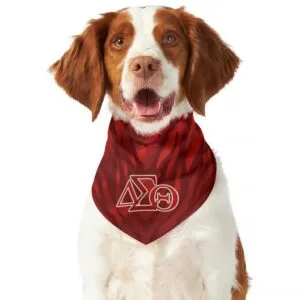 Delta Sigma Theta Pet Bandana
