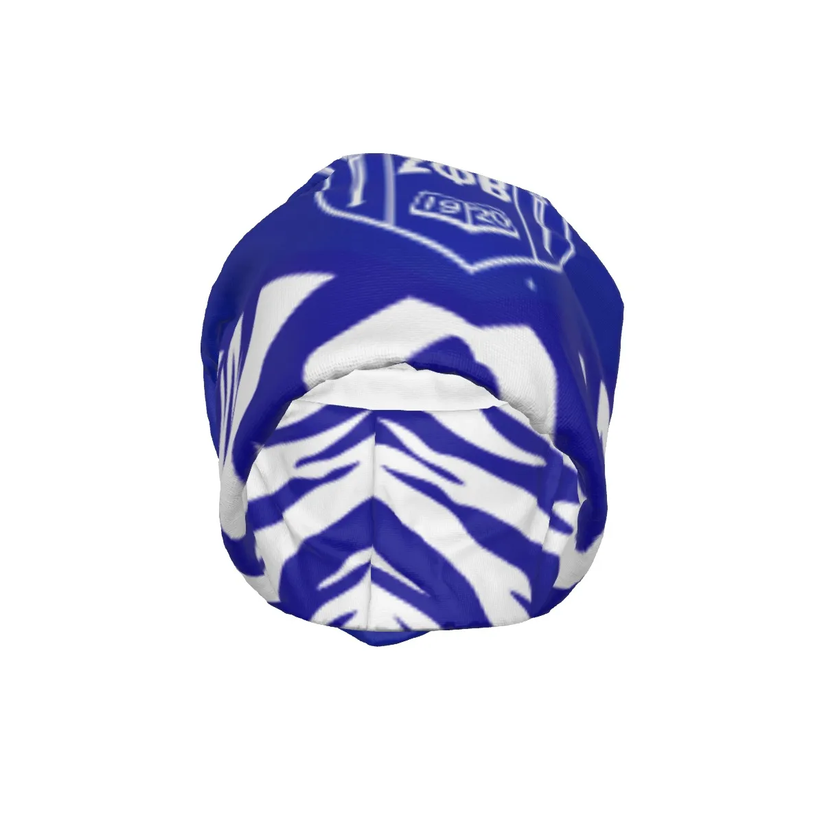 Zeta Phi Beta All-Over Print Unisex Beanie Hat
