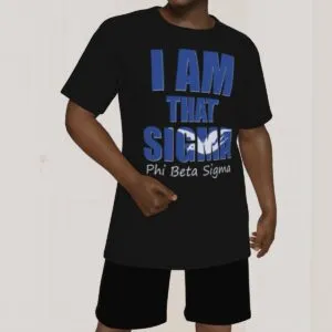 Phi Beta Sigma Tagline District Unisex Shirt