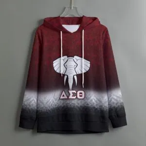 Delta Sigma Theta Hoodie