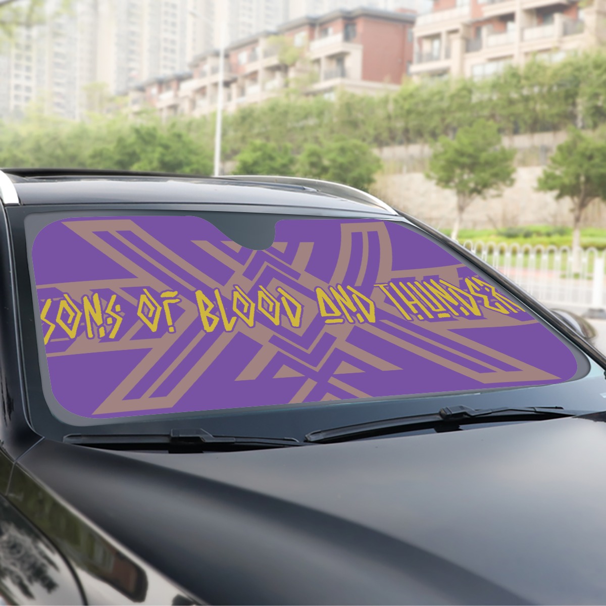 Omega Psi Phi Windshield Sunshade - Image 2