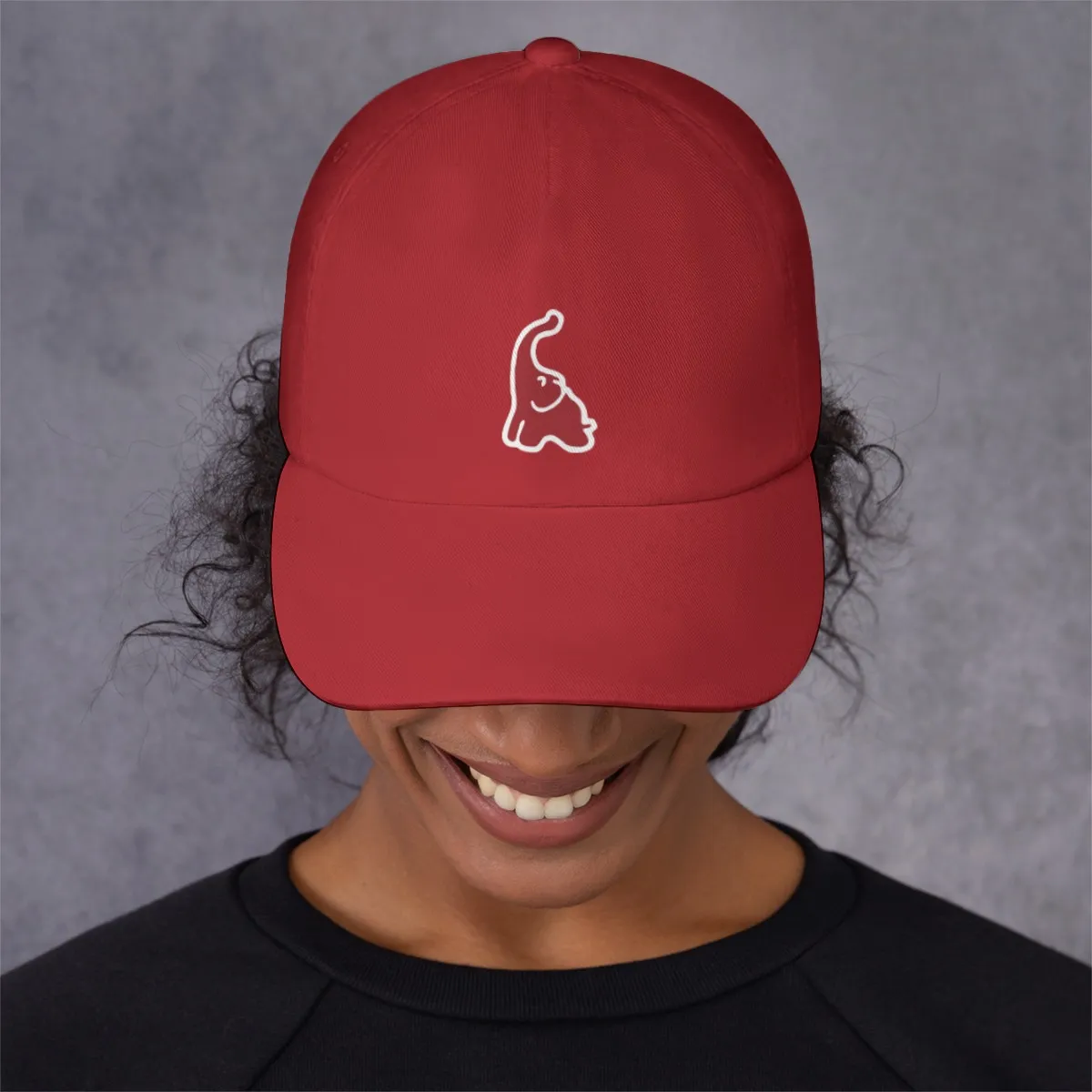 Delta Sigma Theta Twill Hat - Image 4