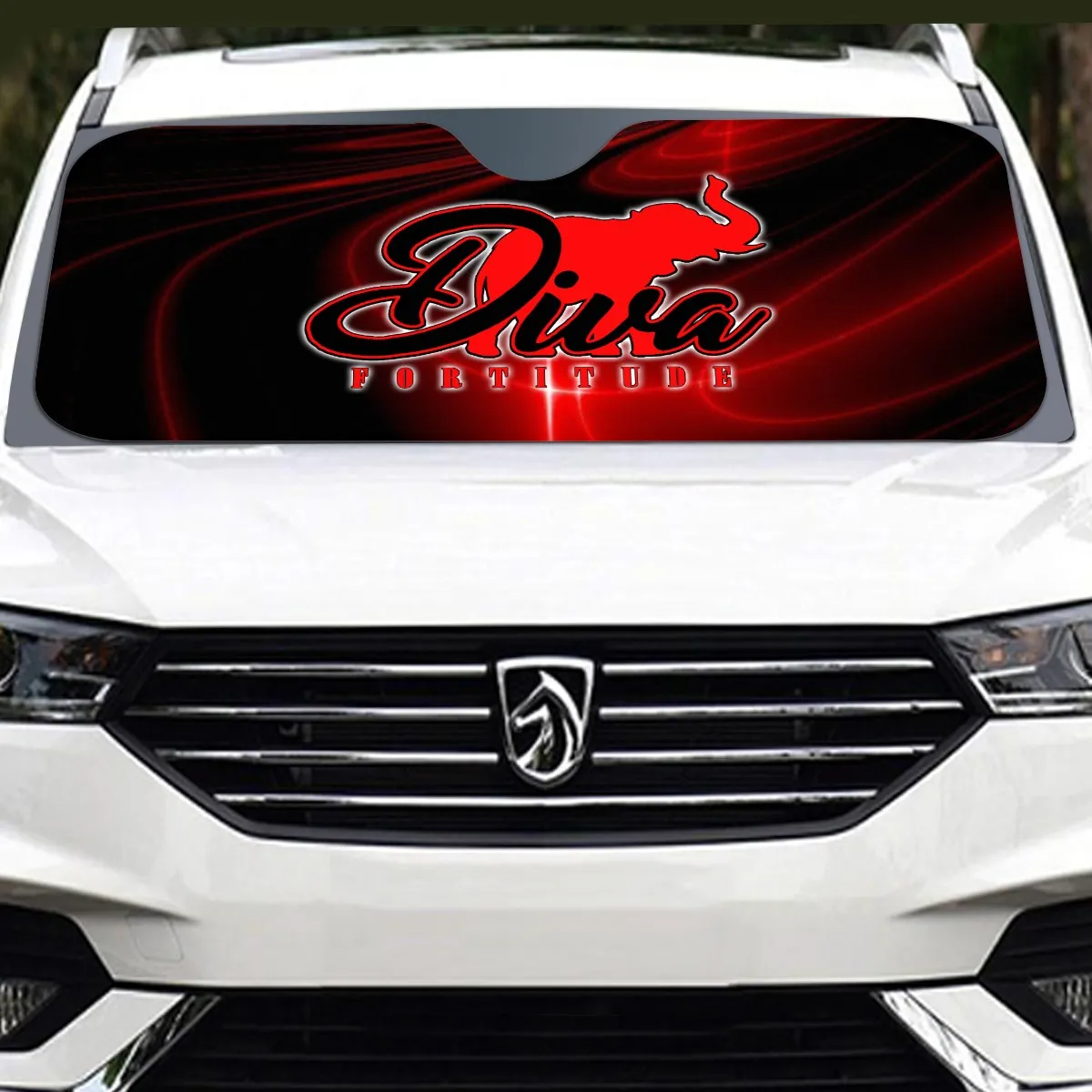 Delta Sigma Theta Windshield Shade - Image 4