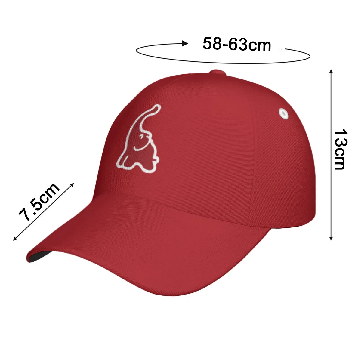 Delta Sigma Theta Twill Hat - Image 5